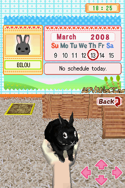Petz Bunnyz screenshot 3 for Nintendo DS